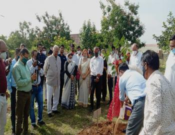 Plantation on 15th August 2021